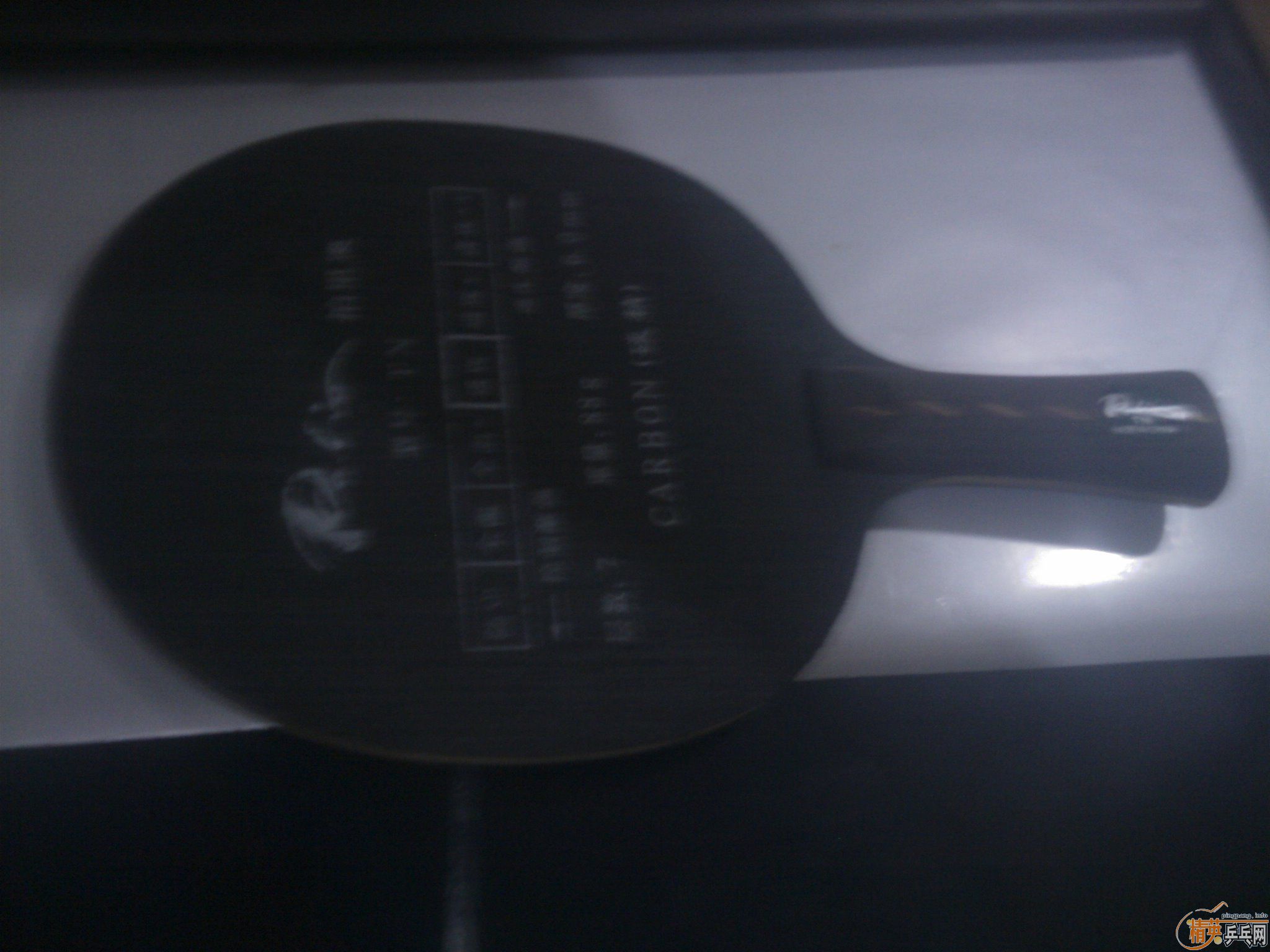 ��ҡ��ڵĳ�һֻԲ�εĶ���