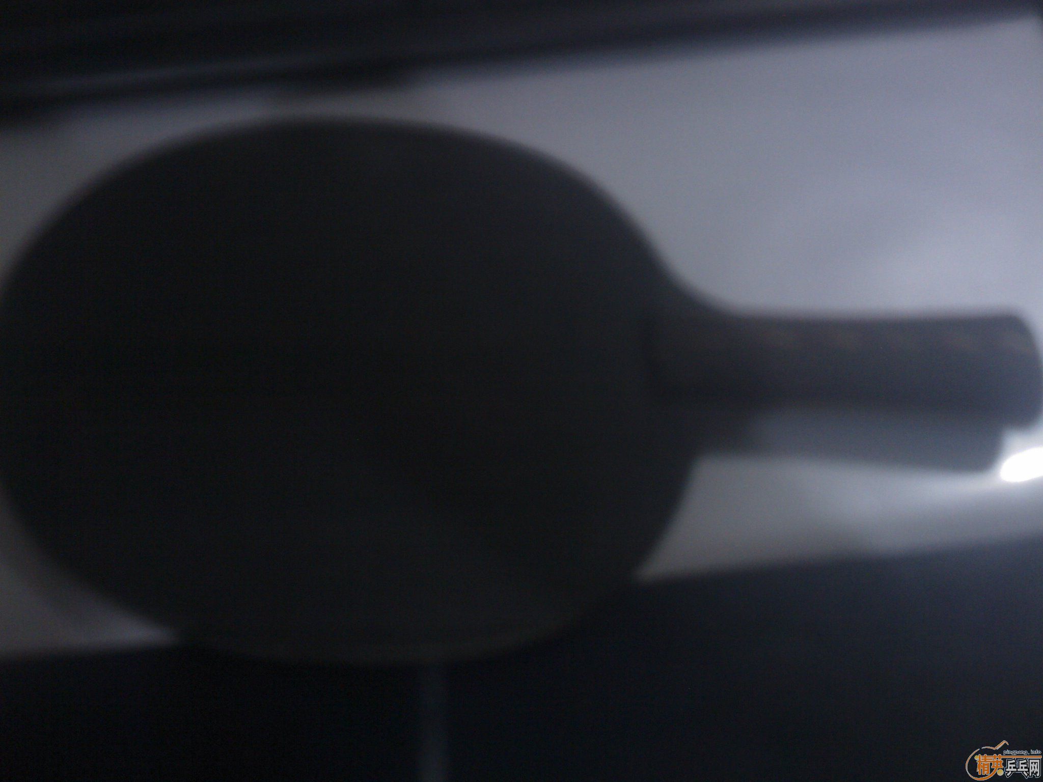 ��ҡ��ڵĳ�һֻԲ�εĶ���