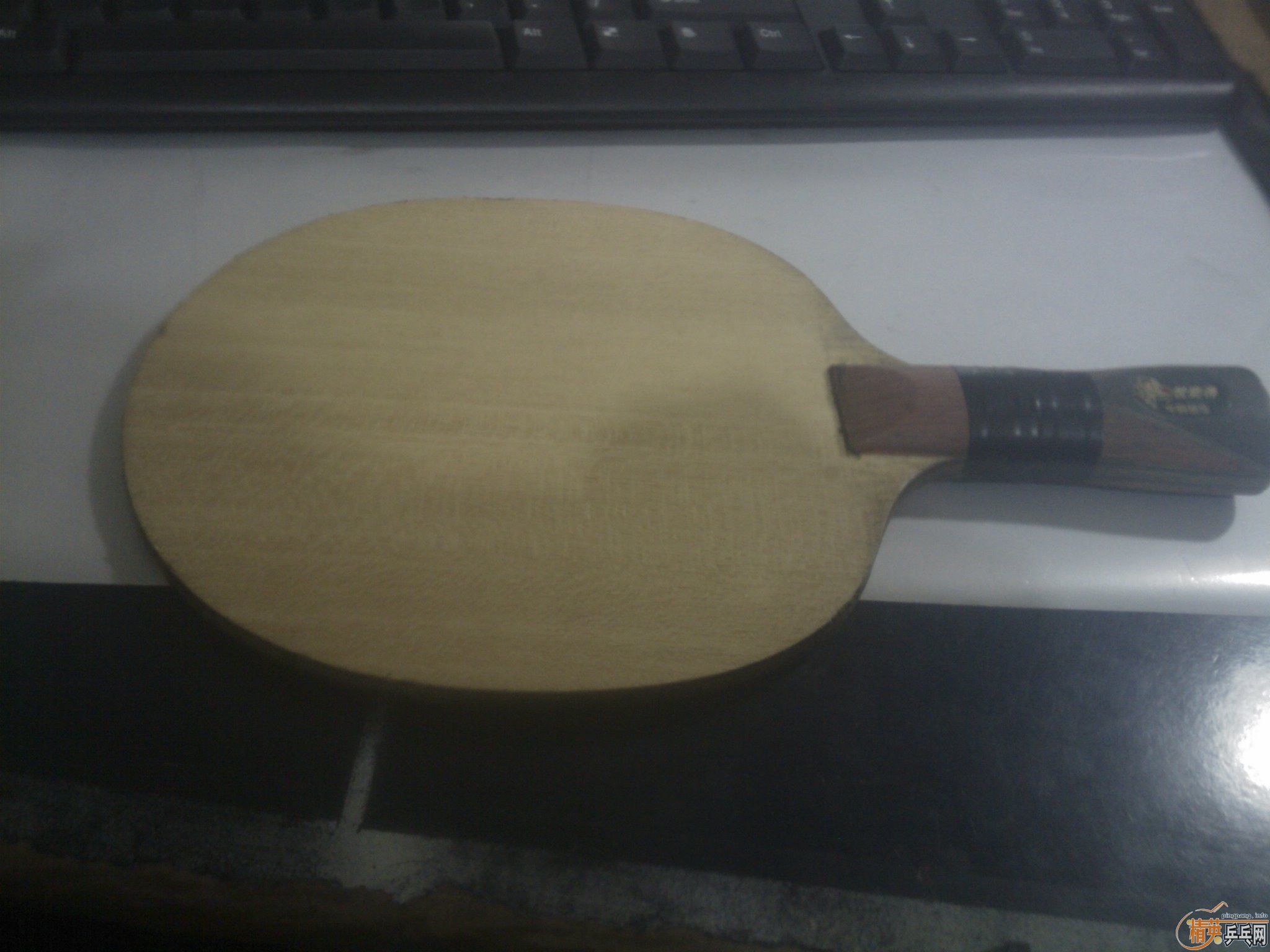 ������ĳ�һֻ����