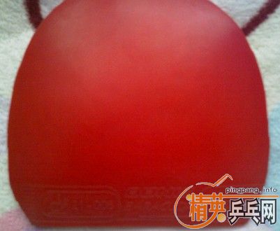 ���۶���˰������95�º�ɫ.��������ZAP