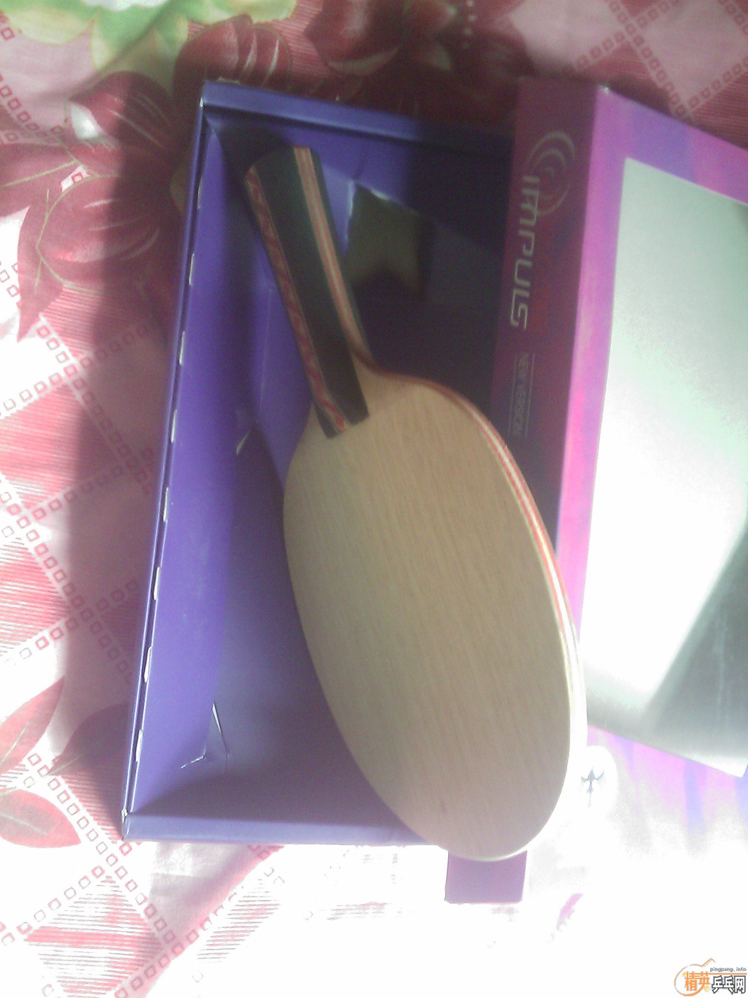 ��ɫ��Ѹ�ײ����ڶ�����־��֮�����ױ�ķһ�ѳ�ɫ��ͼ �� ֻ��