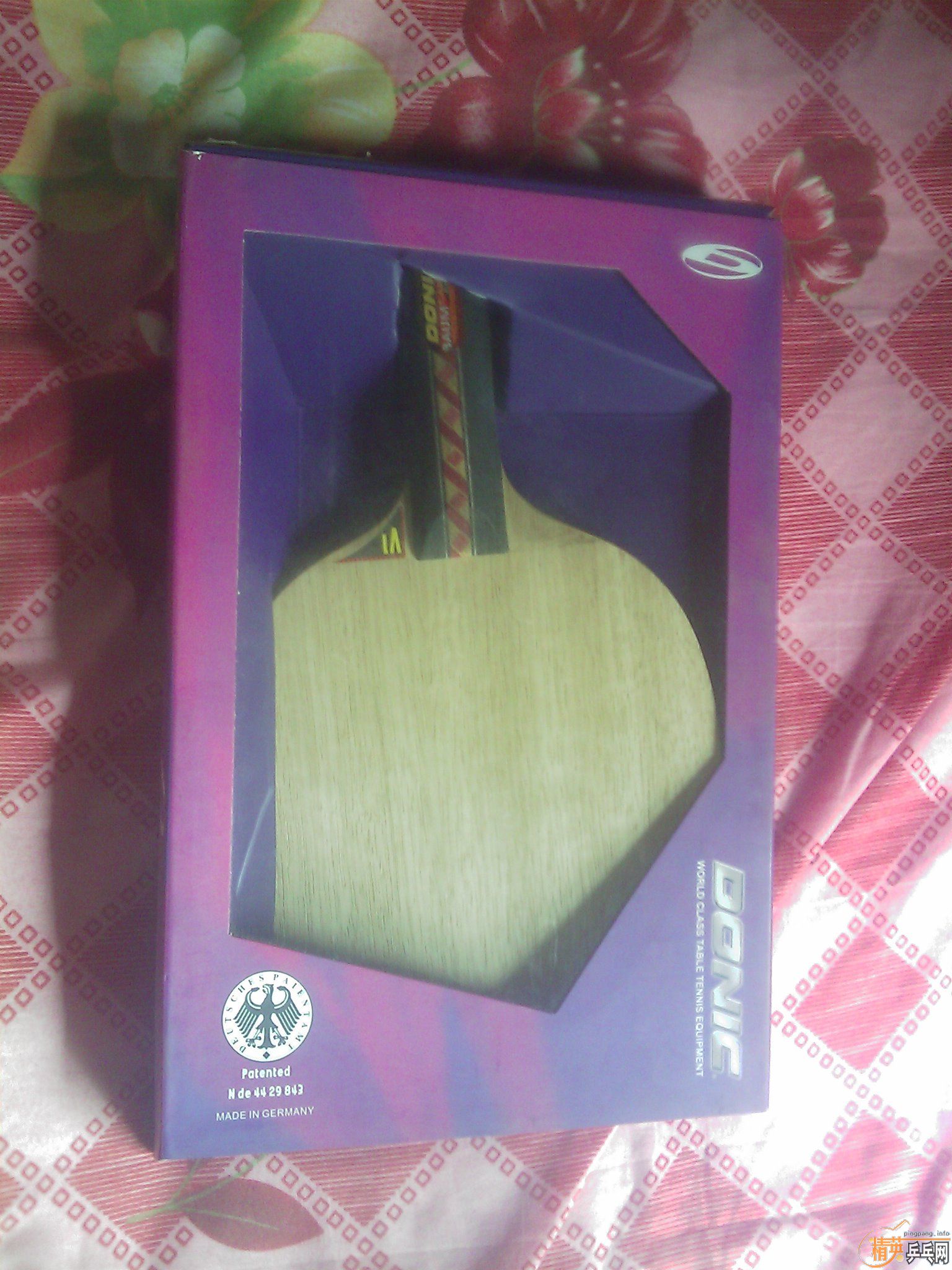 ��ɫ��Ѹ�ײ����ڶ�����־��֮�����ױ�ķһ�ѳ�ɫ��ͼ �� ֻ��