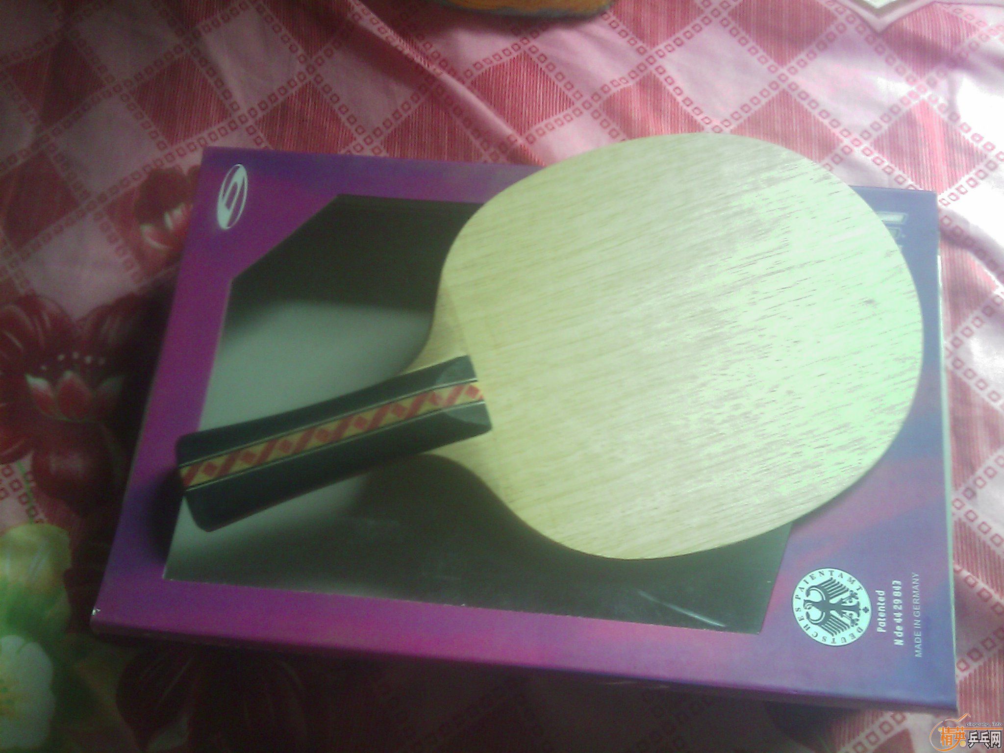 ��ɫ��Ѹ�ײ����ڶ�����־��֮�����ױ�ķһ�ѳ�ɫ��ͼ �� ֻ��