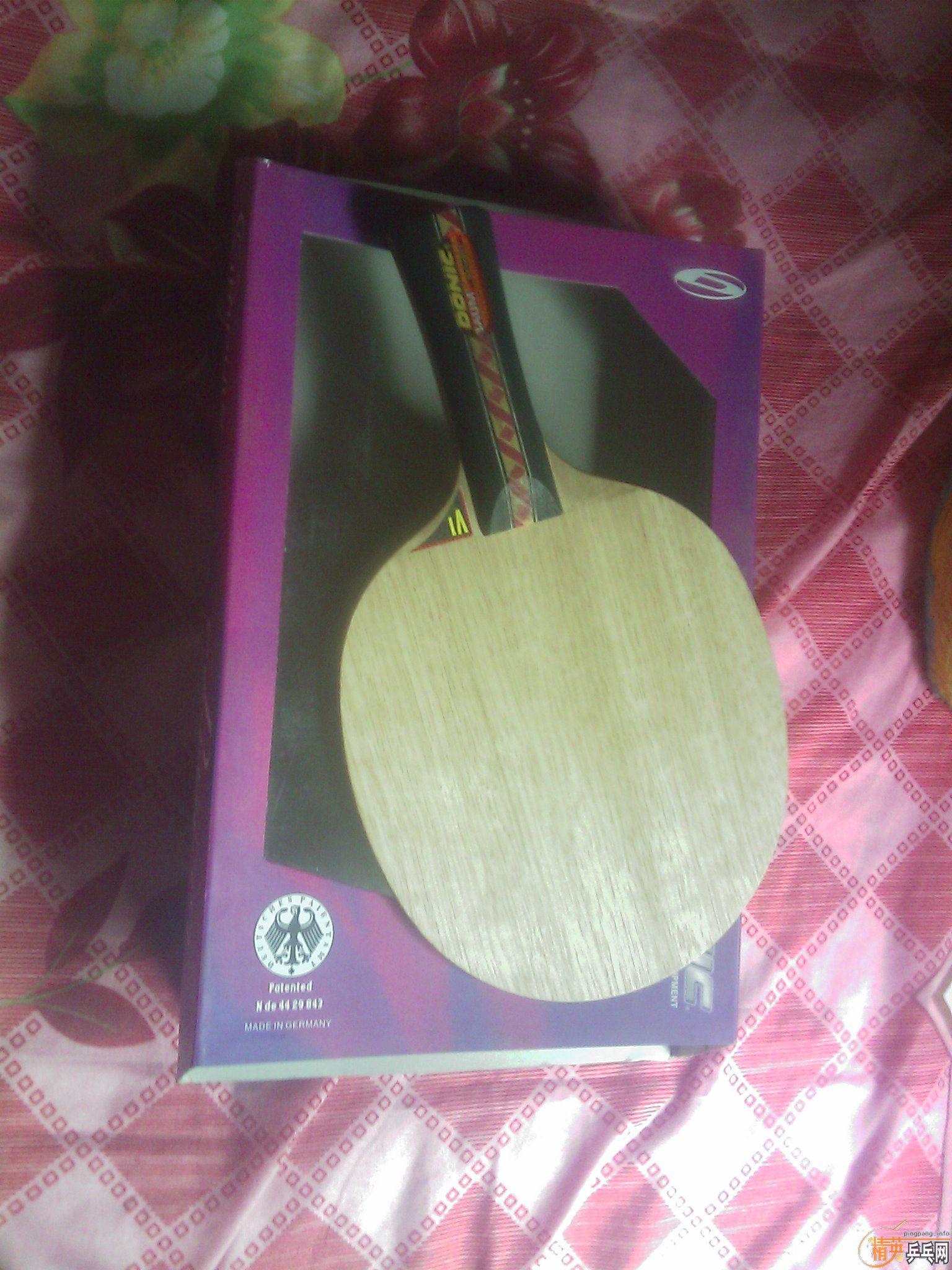 ��ɫ��Ѹ�ײ����ڶ�����־��֮�����ױ�ķһ�ѳ�ɫ��ͼ �� ֻ��