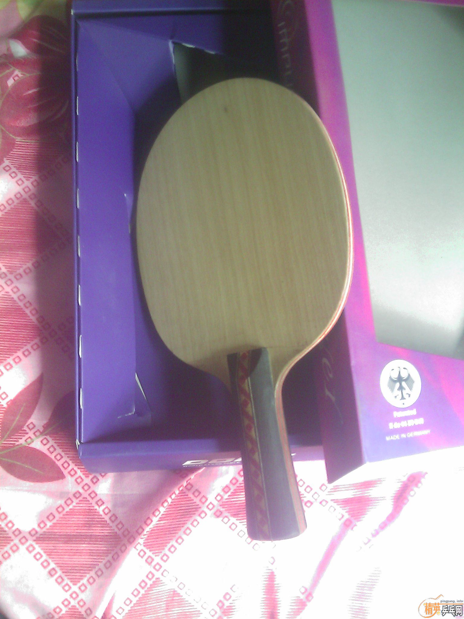 ��ɫ��Ѹ�ײ����ڶ�����־��֮�����ױ�ķһ�ѳ�ɫ��ͼ �� ֻ��