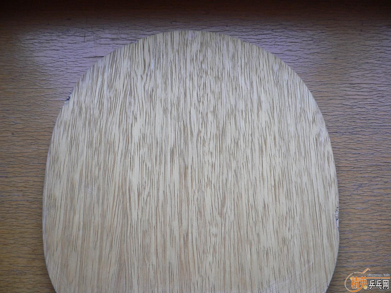 ���� ���� ����̼ 295 ����