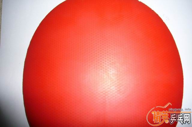 ������OC+����EL��Ƥ�������ˣ���ɫ��ͼ��250������