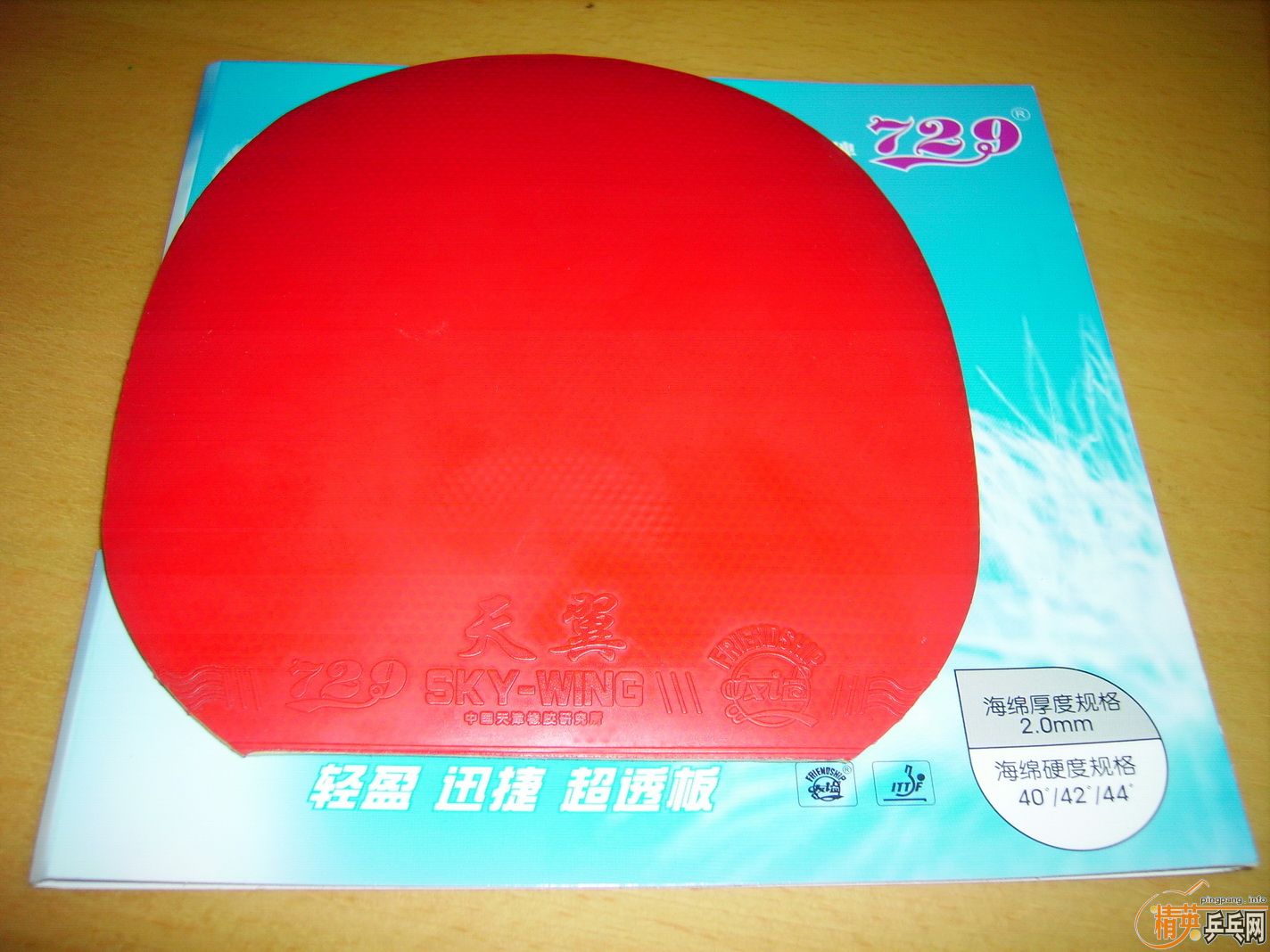 һ�������׽������ѽ���