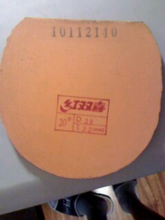 �����9.5��ʡ��С������8����El.