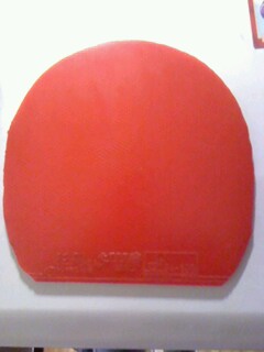 �����9.5��ʡ��С������8����El.