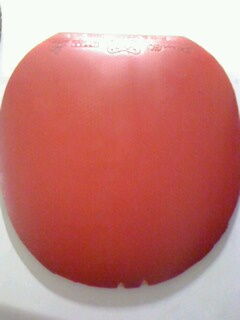 �����9.5��ʡ��С������8����El.