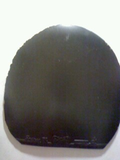 �����9.5��ʡ��С������8����El.