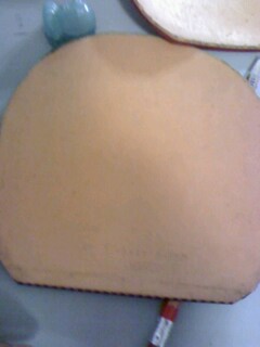 �����9.5��ʡ��С������8����El.