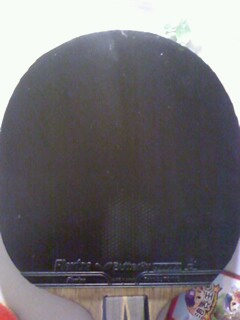 �����9.5��ʡ��С������8����El.