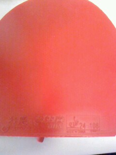 �����9.5��ʡ��С������8����El.