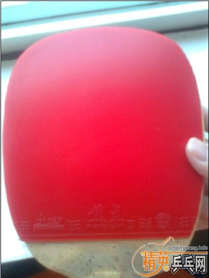 ��������Ӻ�һ���׽�