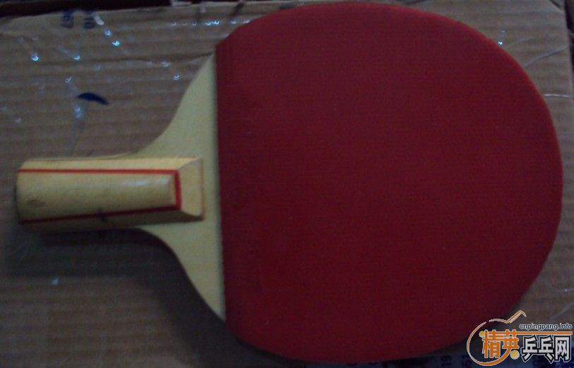 �Ϻ�˫ϲ��׼��׽��������ˡ���