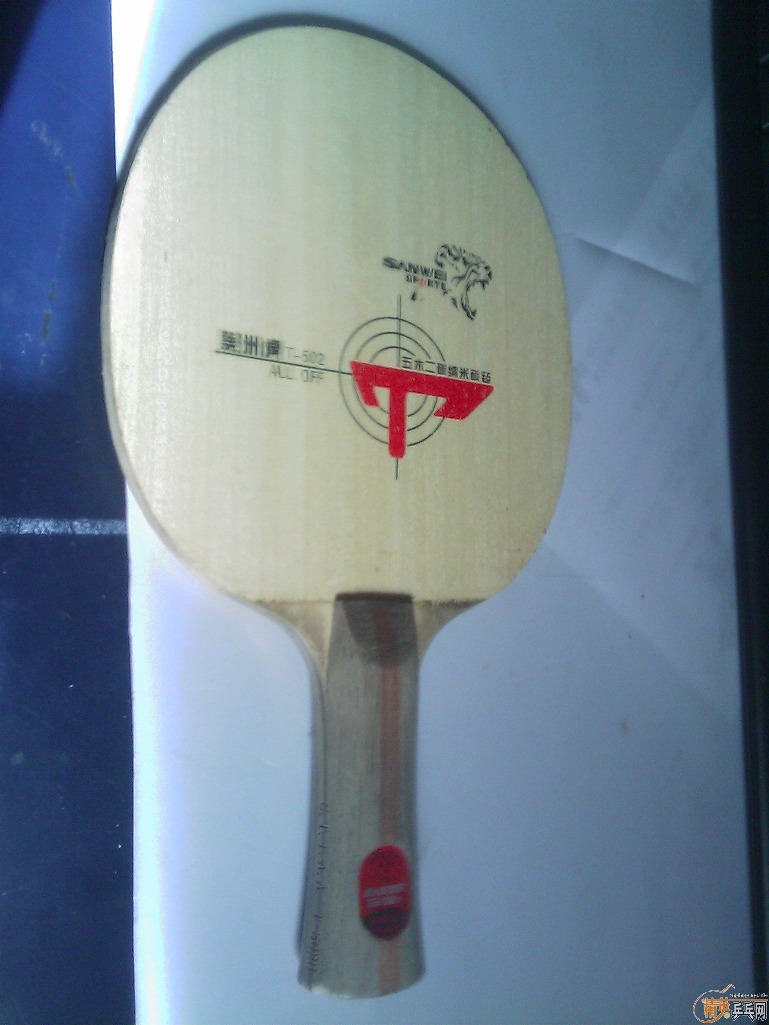 ��������Ӻ�һ���׽�