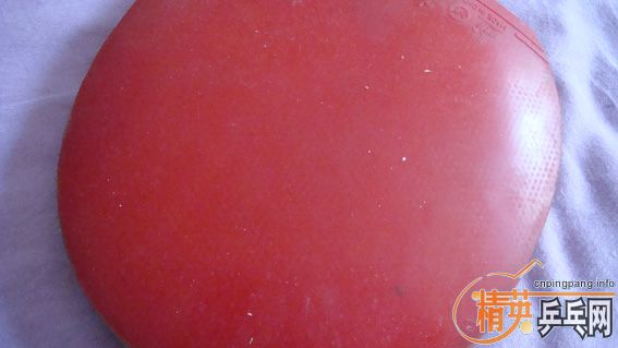 ��尮���� �۸���ѡ