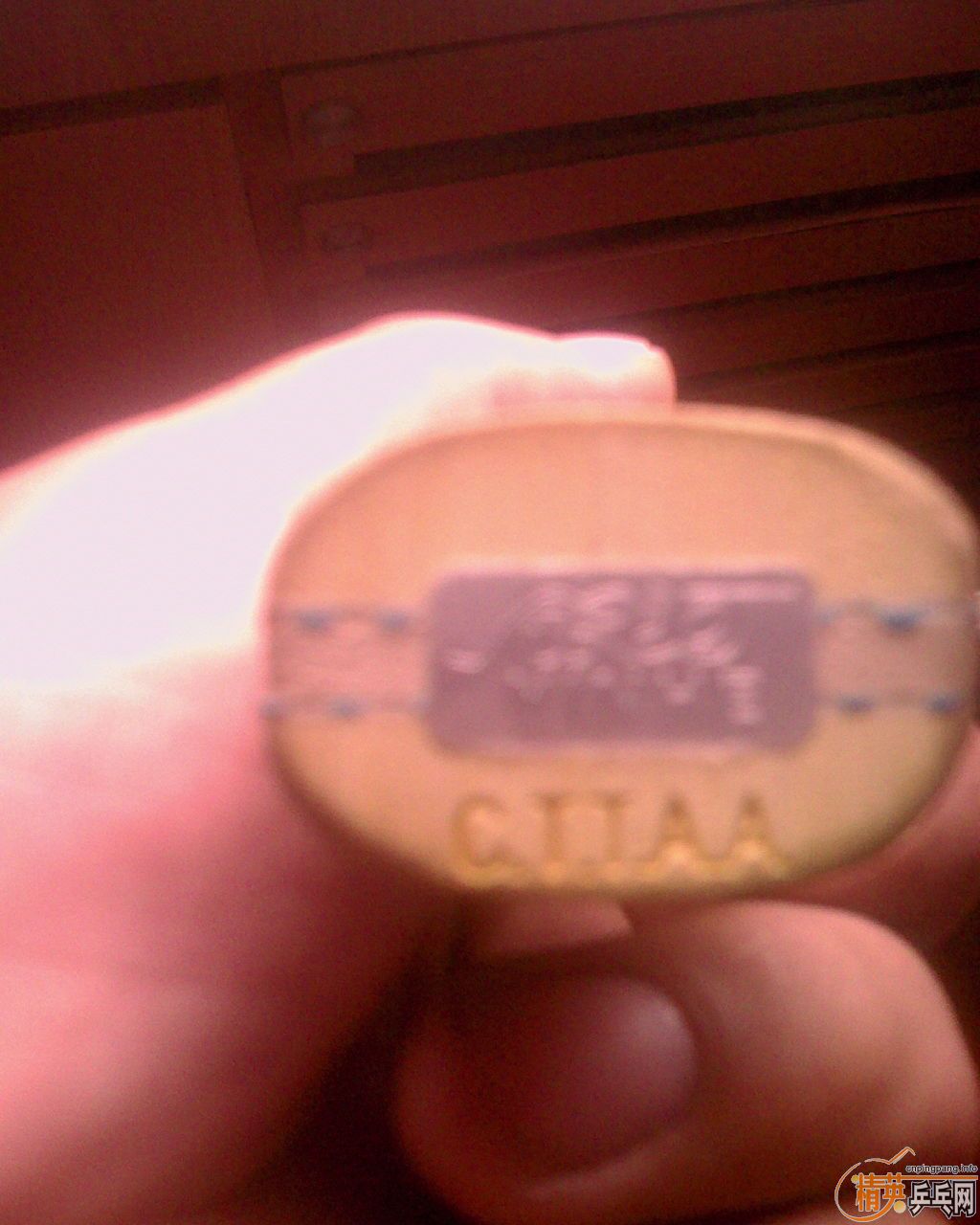 [�Ƽ�]���ӽ���V14�װ�100����