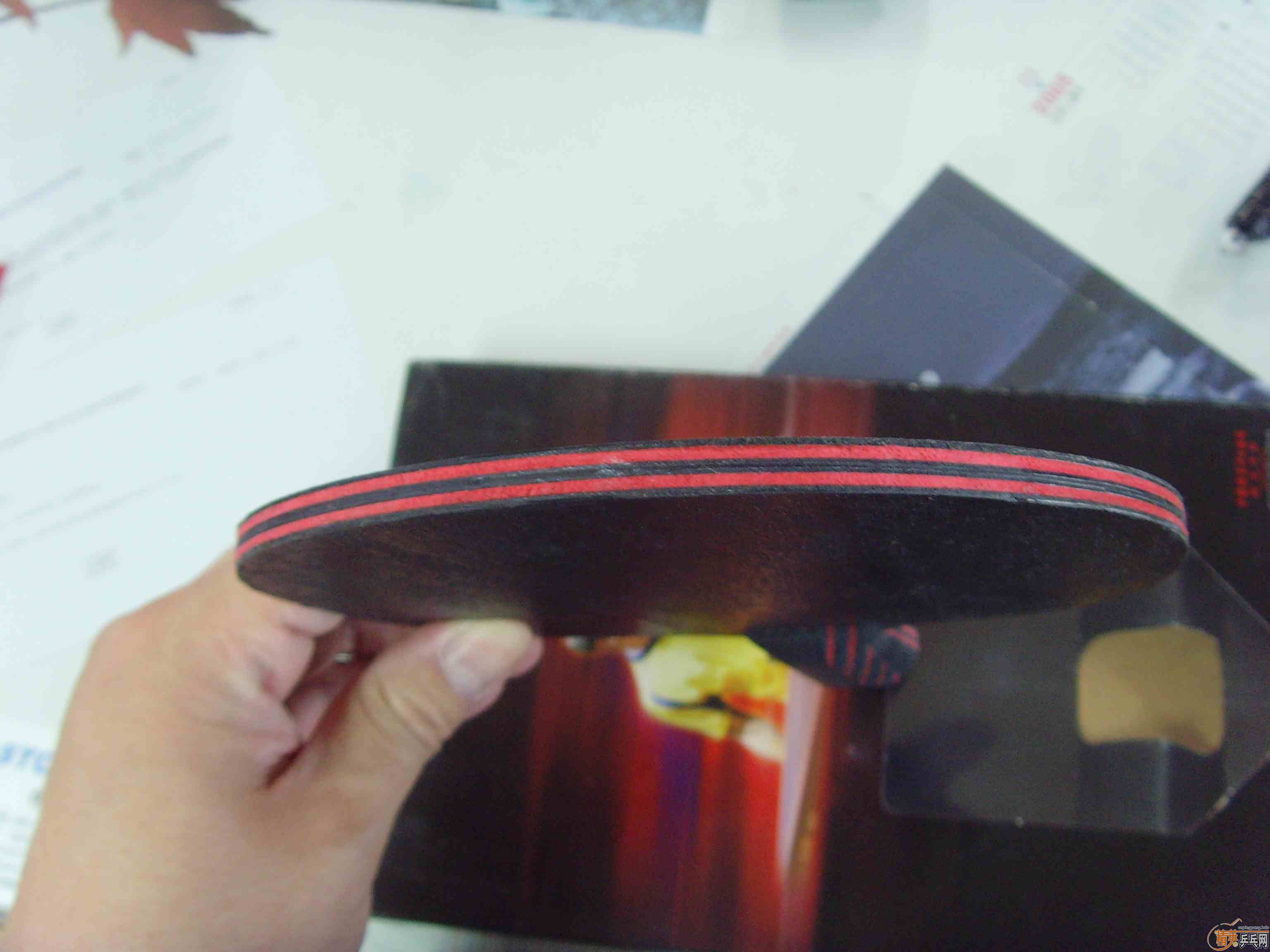 ŷ������̼����9���£�398��˳��