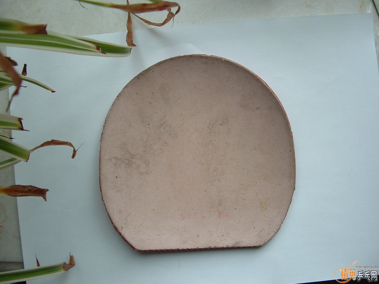 ��5������