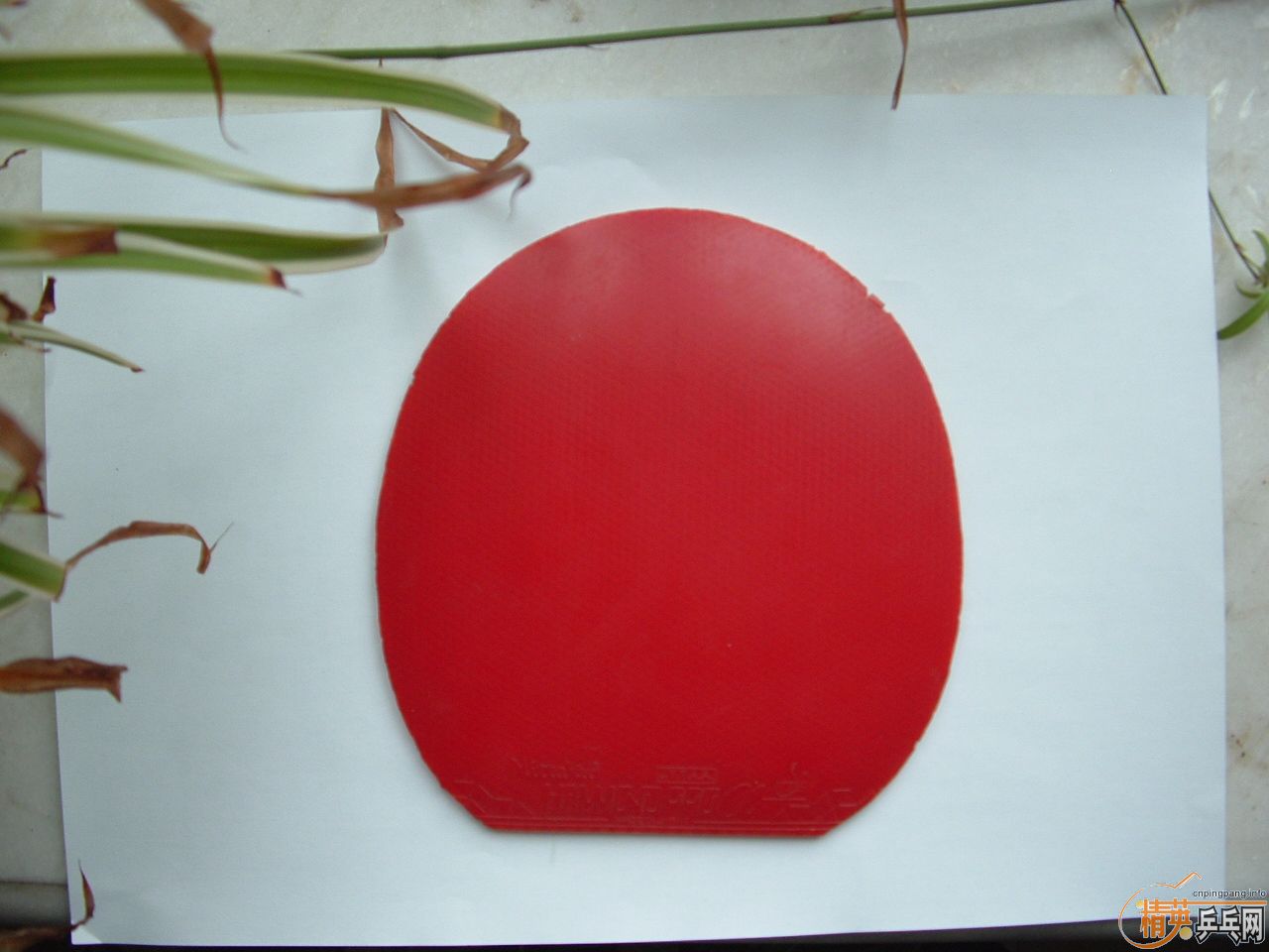 ��5������