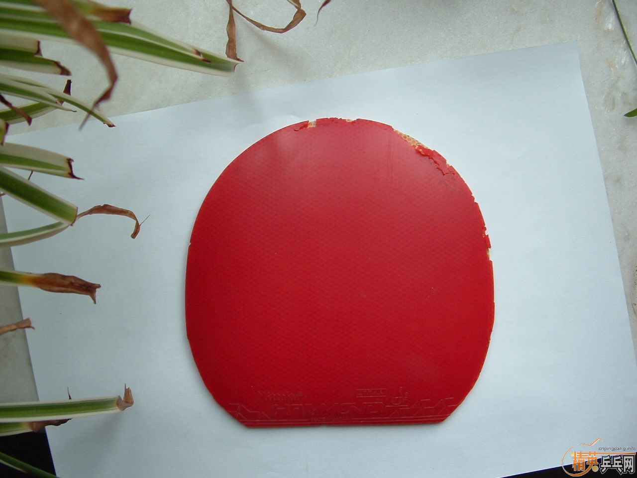 ��5������