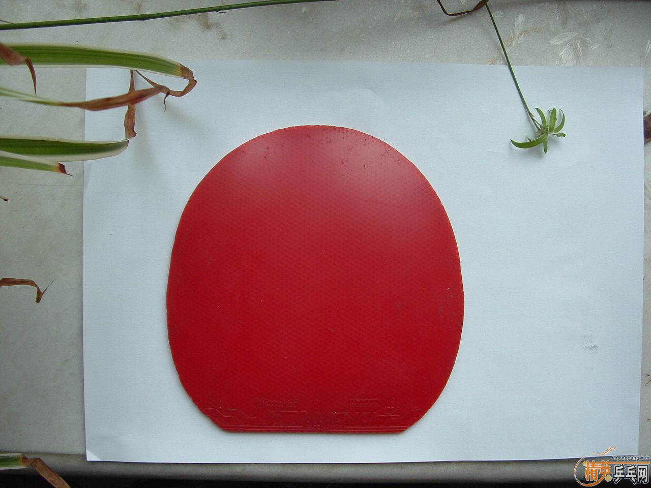 ��ֱ��60�����