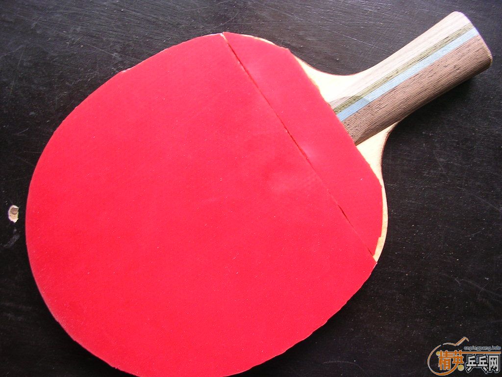 ����������ľ���ӣ�������ָ��