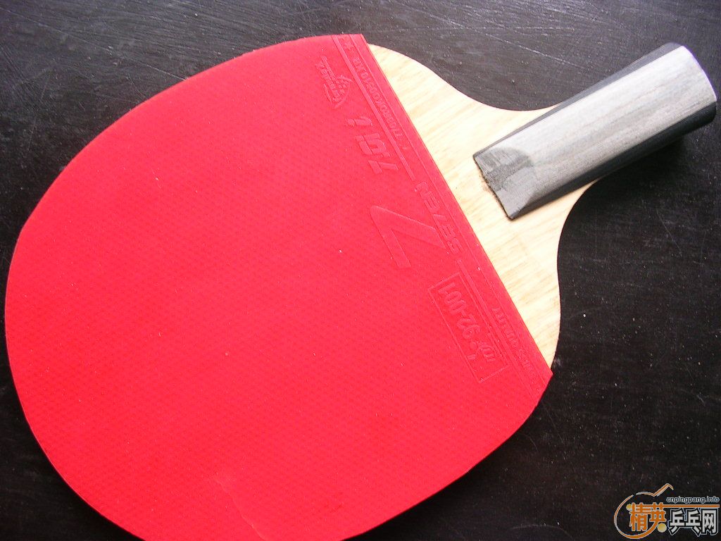 ����������ľ���ӣ�������ָ��