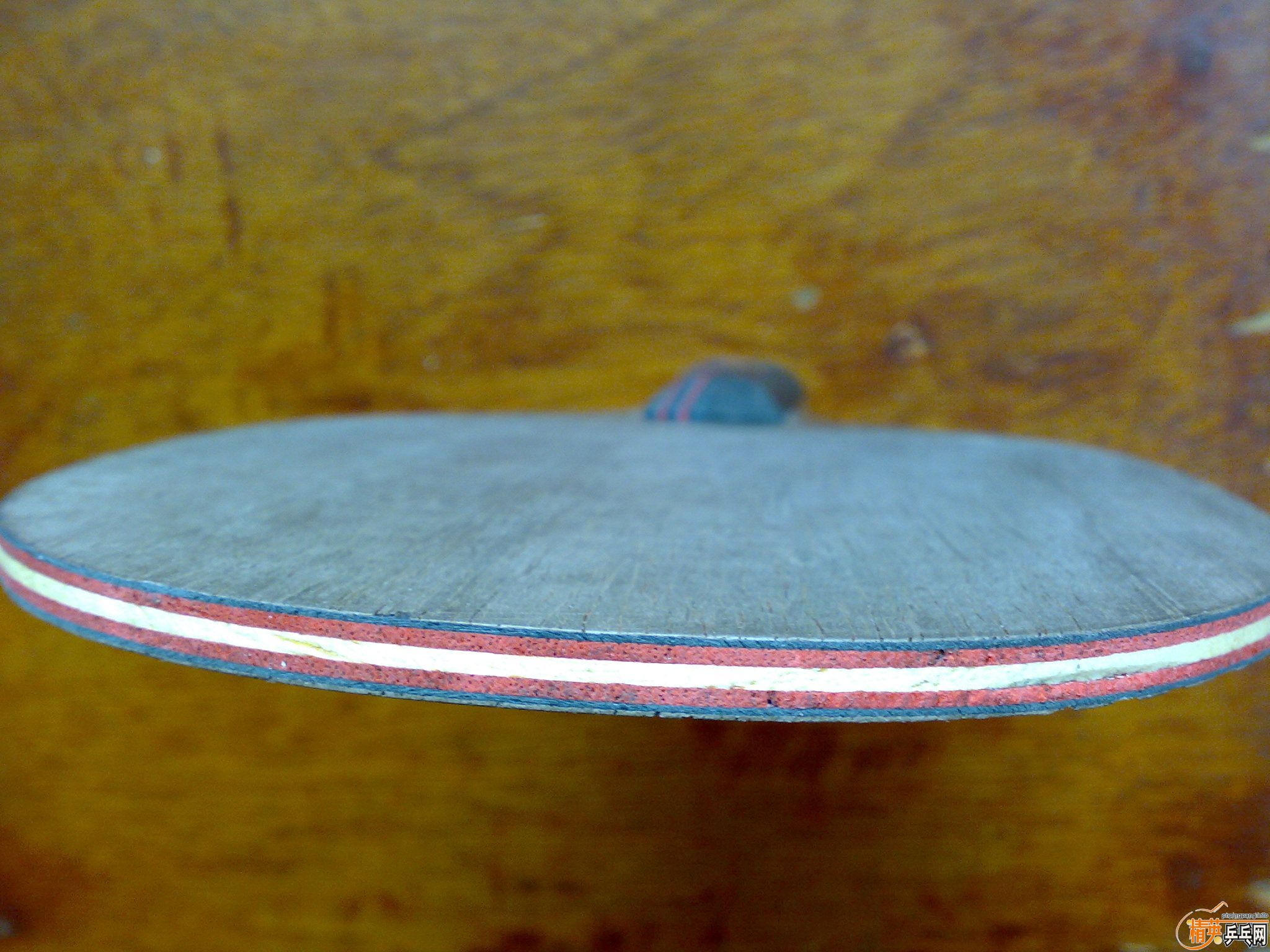 ��������Σ������