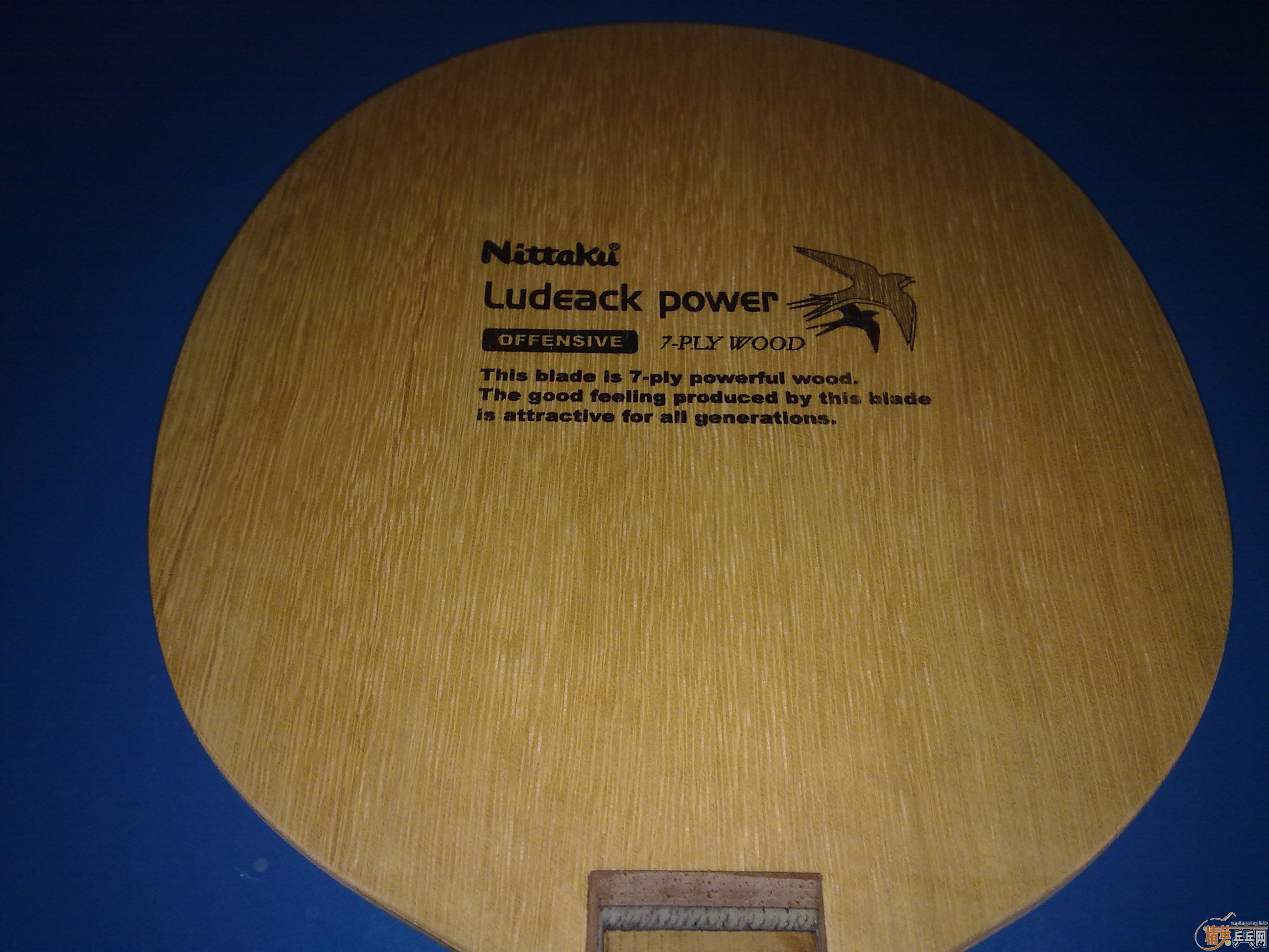 ������  ����