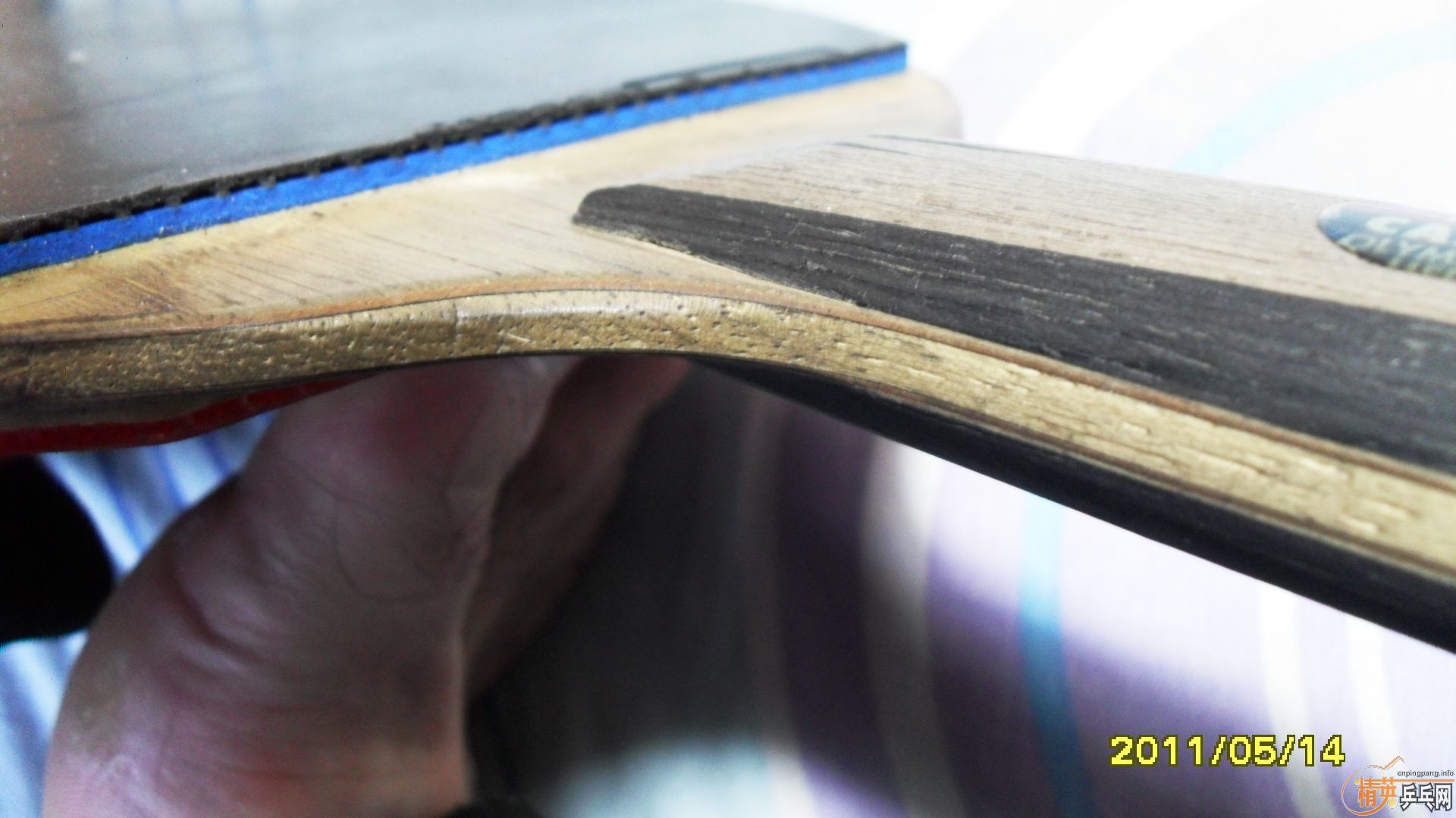 �����ڰ汾ŷ����̼һֻ