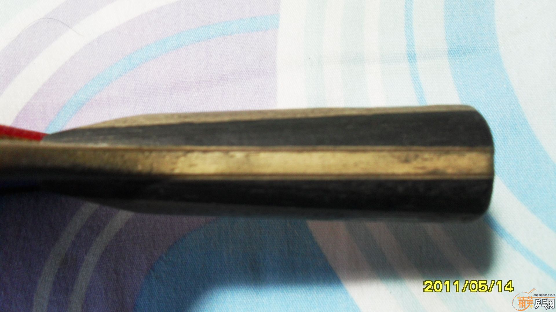 �����ڰ汾ŷ����̼һֻ