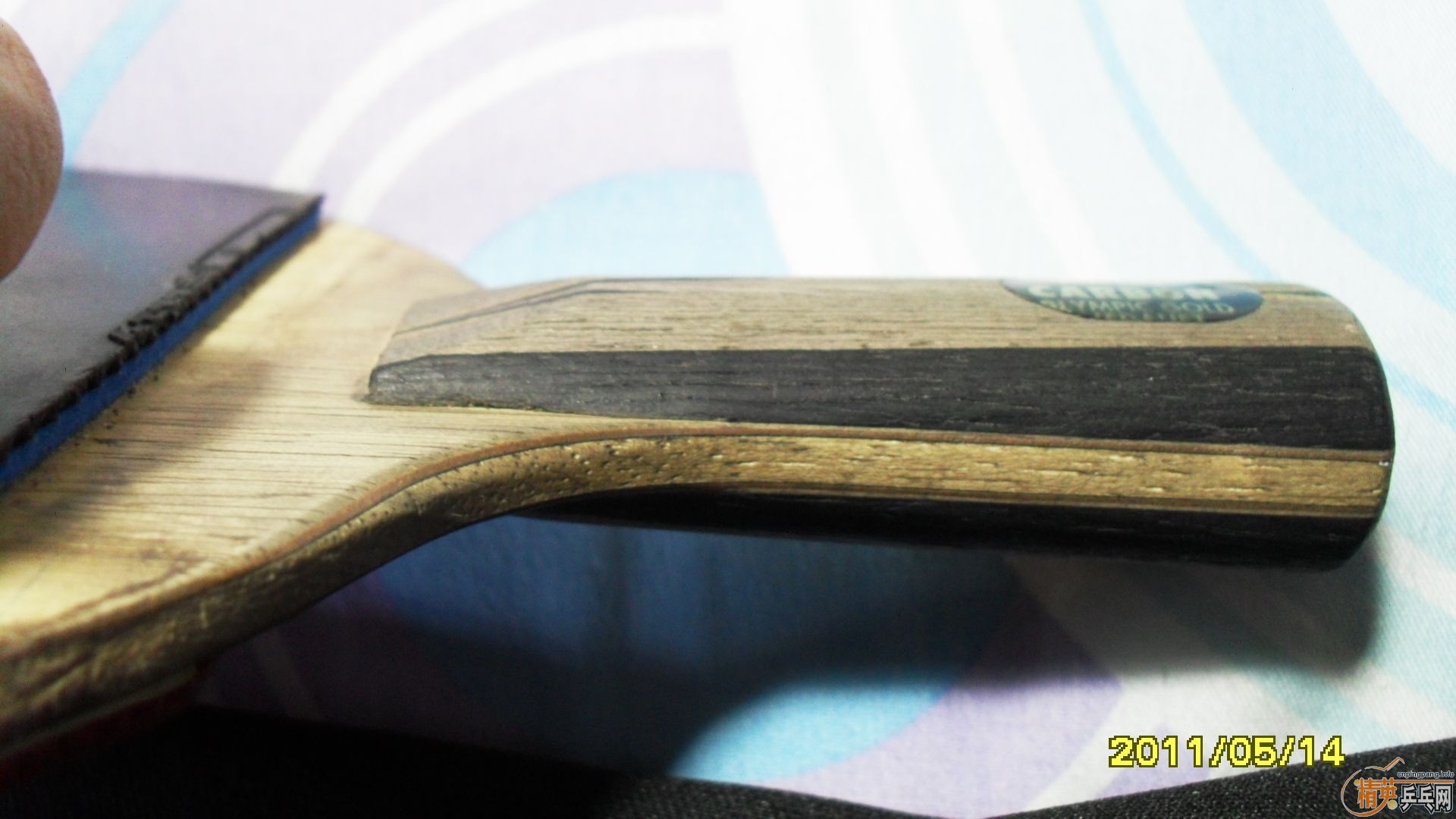 �����ڰ汾ŷ����̼һֻ