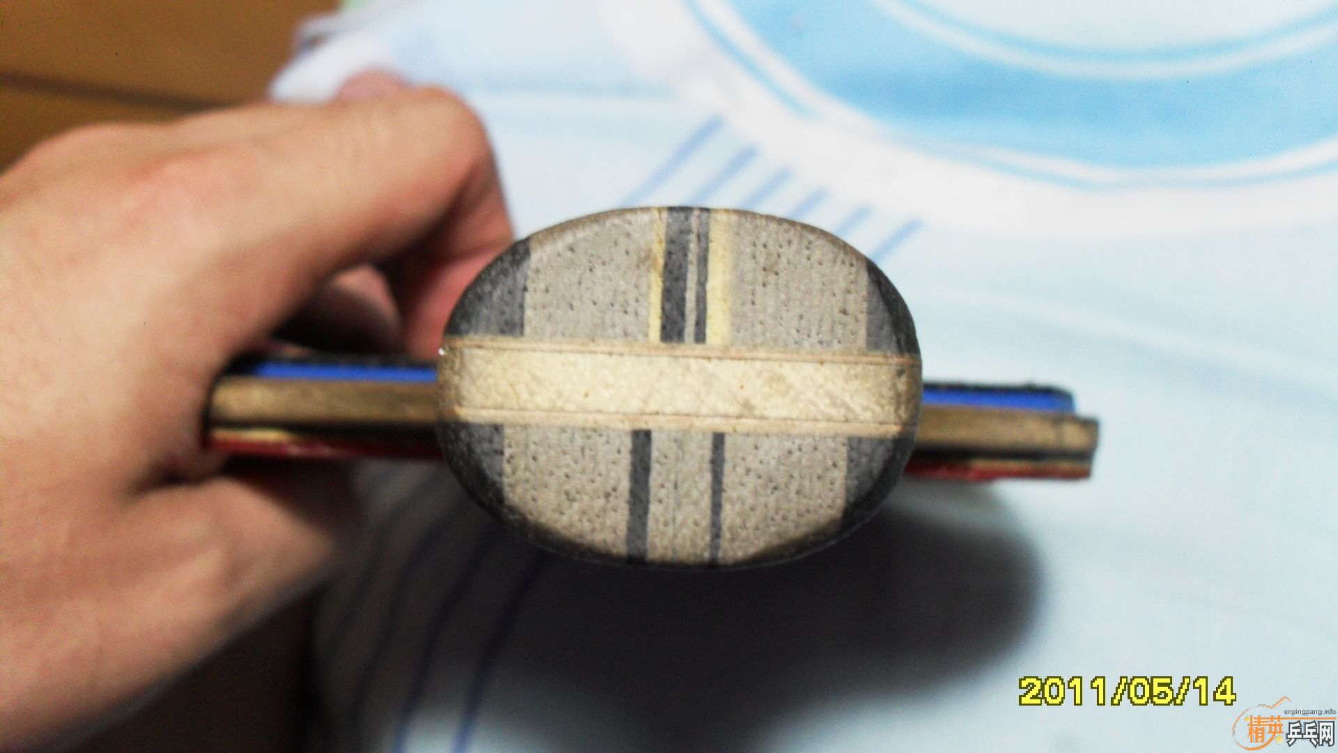 �����ڰ汾ŷ����̼һֻ