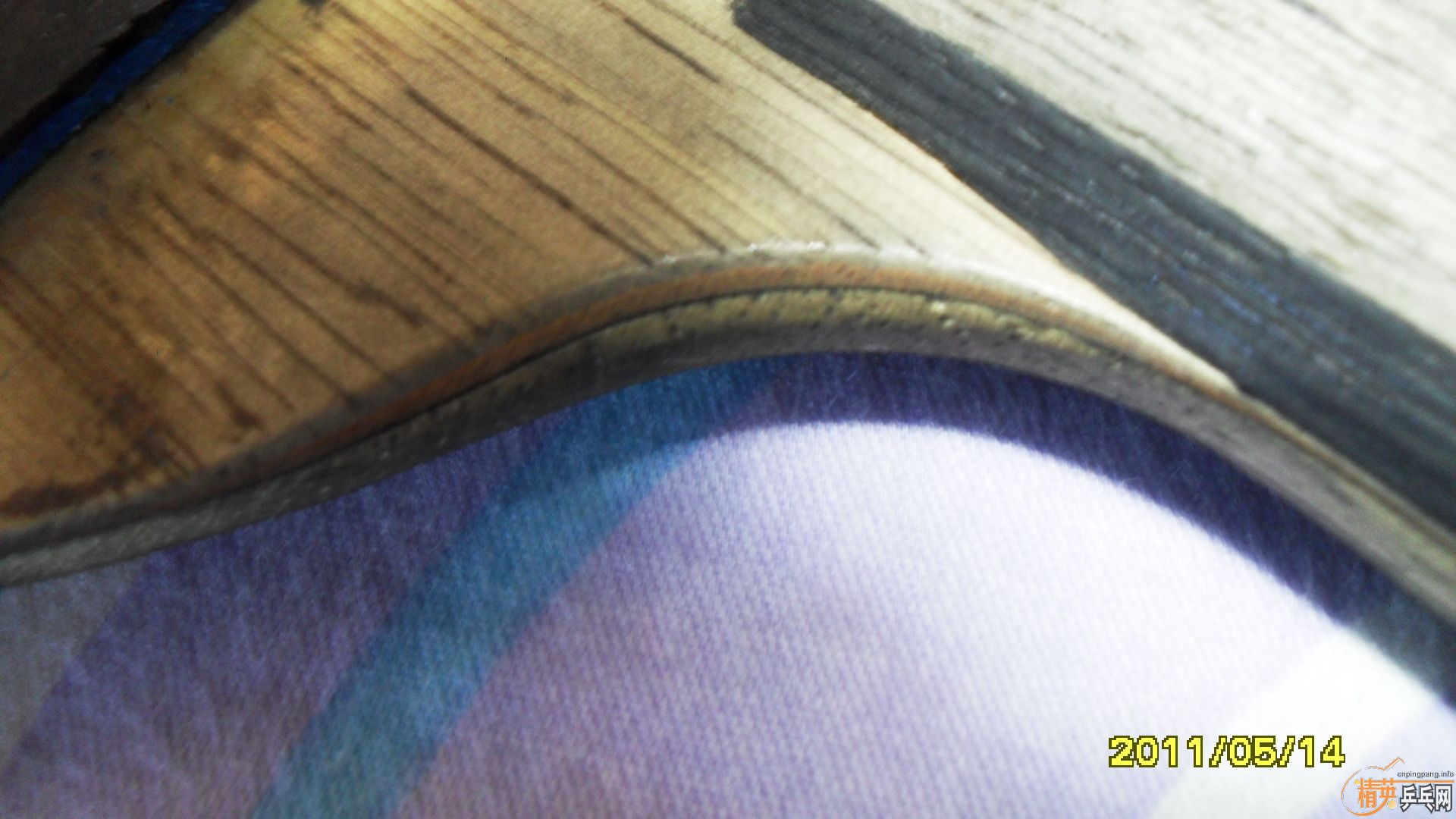 �����ڰ汾ŷ����̼һֻ