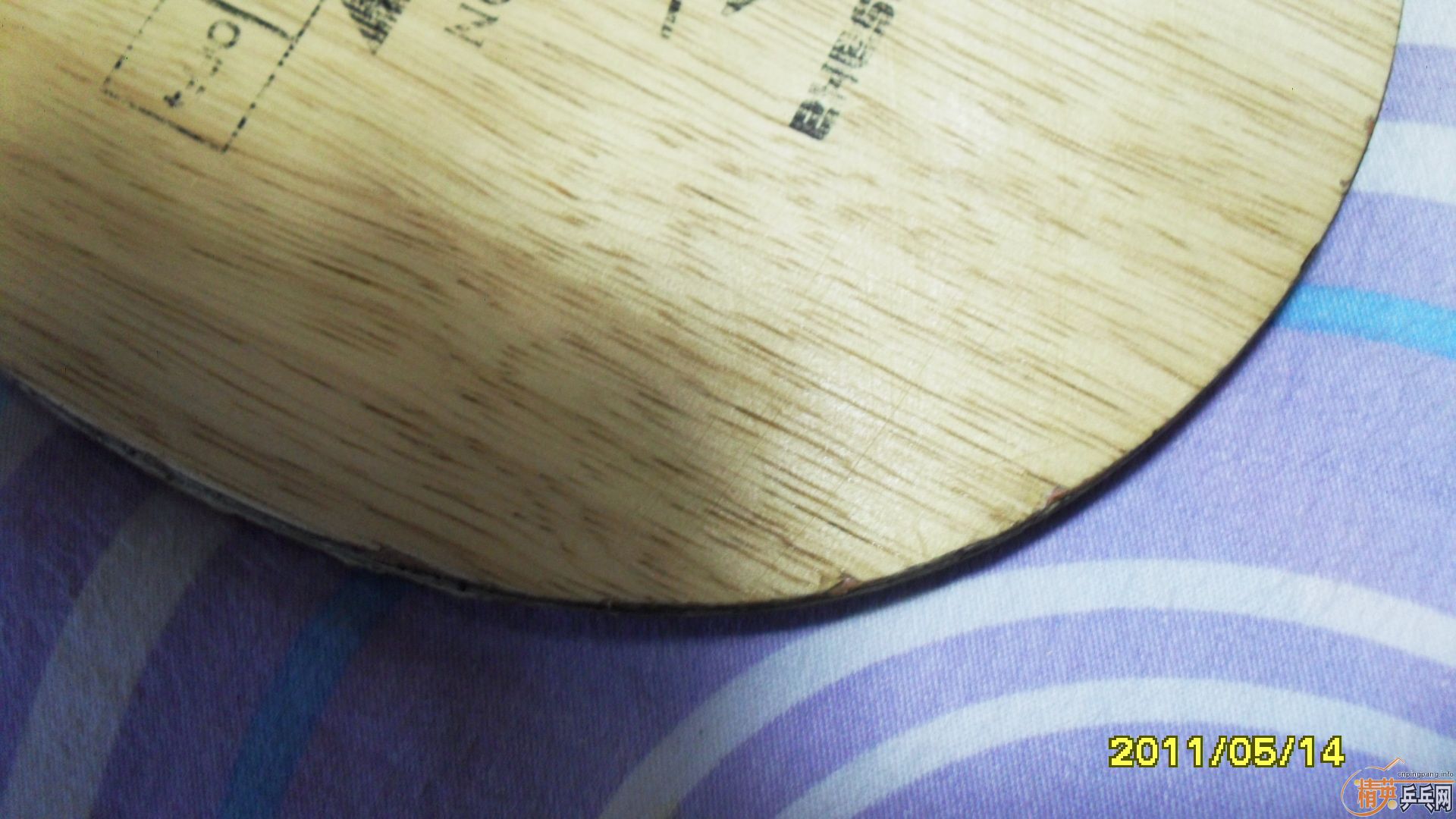 �����ڰ汾ŷ����̼һֻ