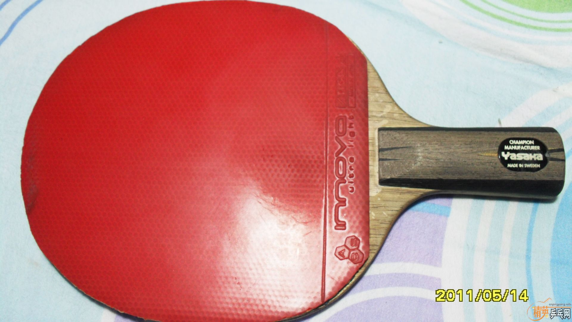 �����ڰ汾ŷ����̼һֻ