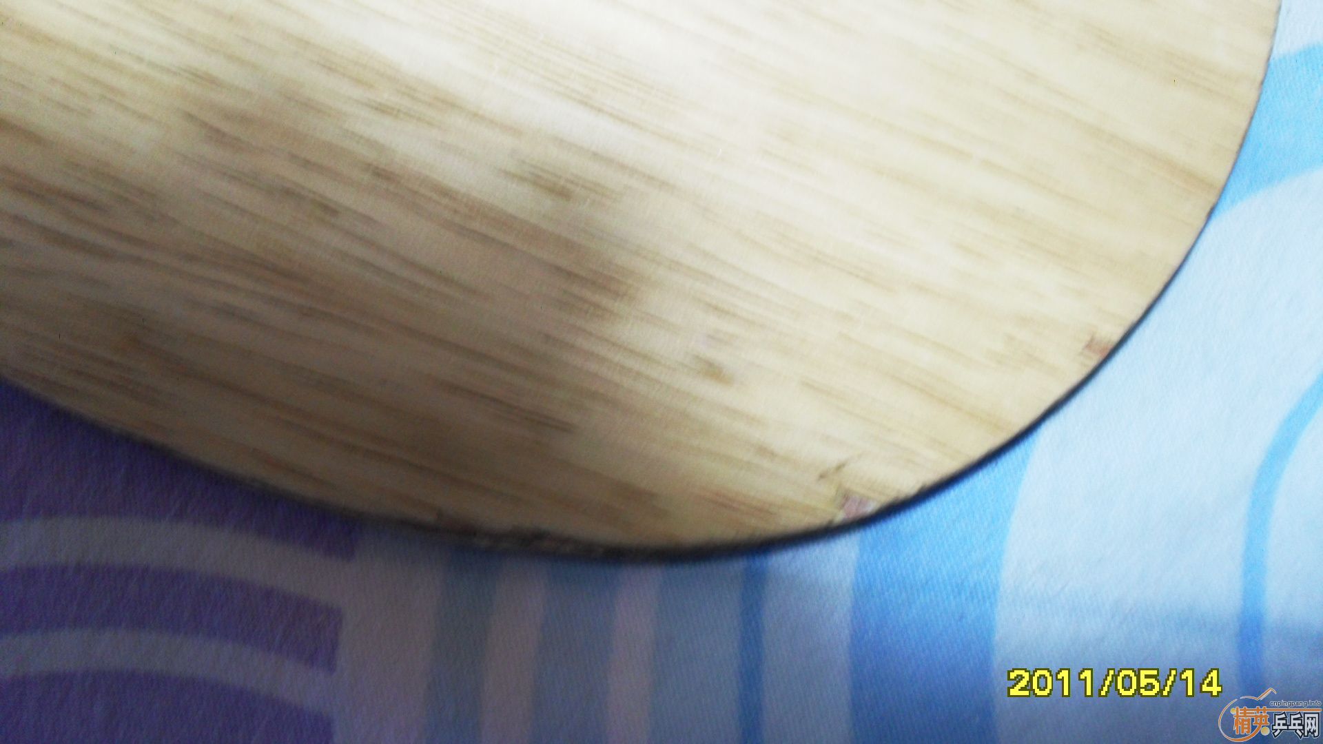 �����ڰ汾ŷ����̼һֻ