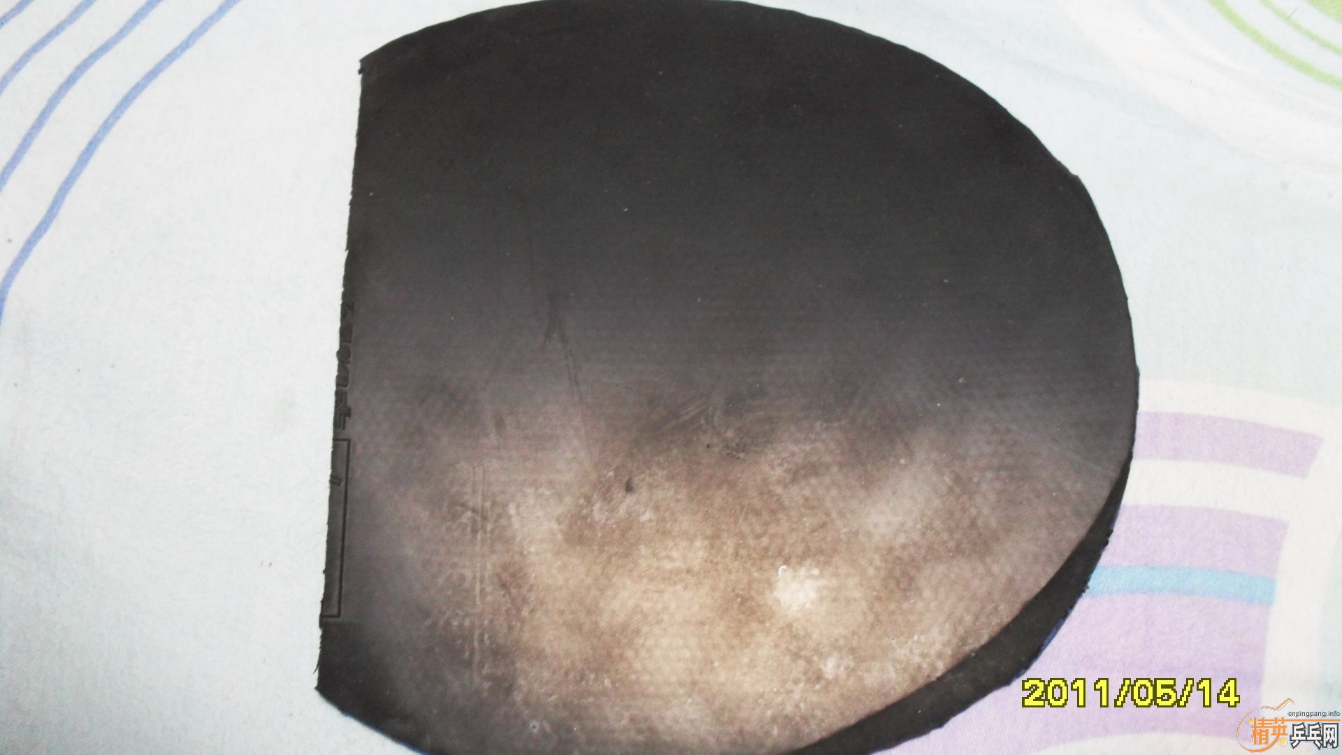 �����ڰ汾ŷ����̼һֻ