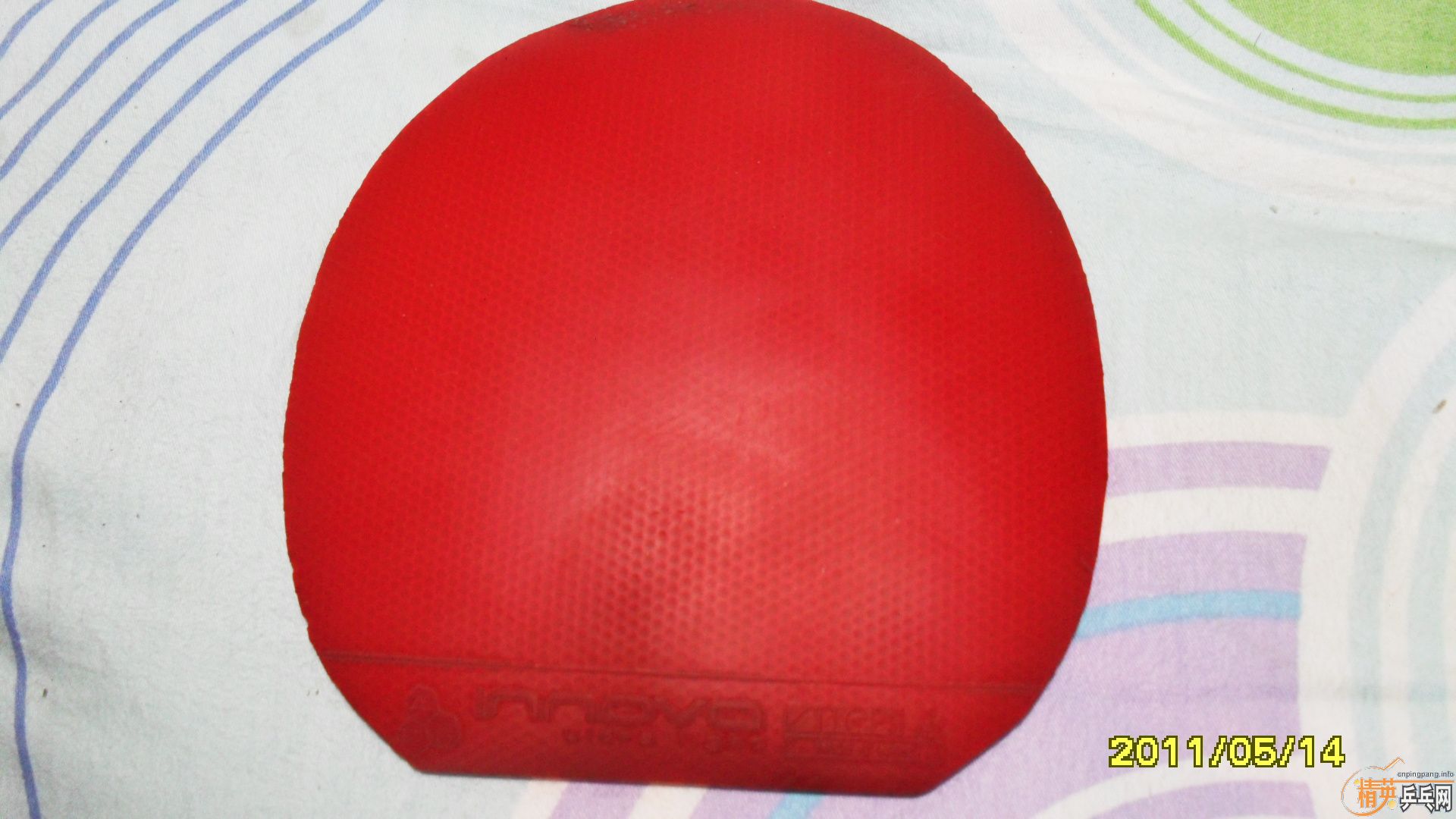 �����ڰ汾ŷ����̼һֻ