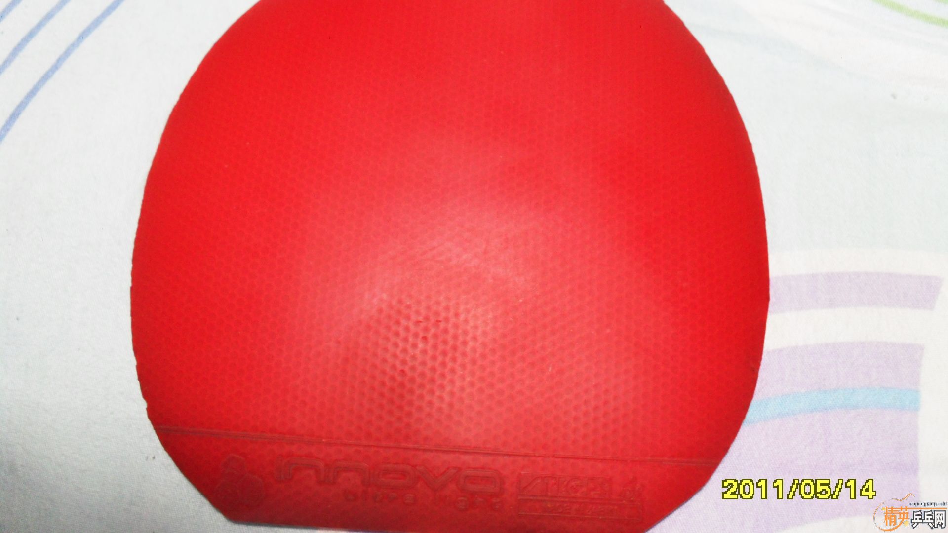 �����ڰ汾ŷ����̼һֻ