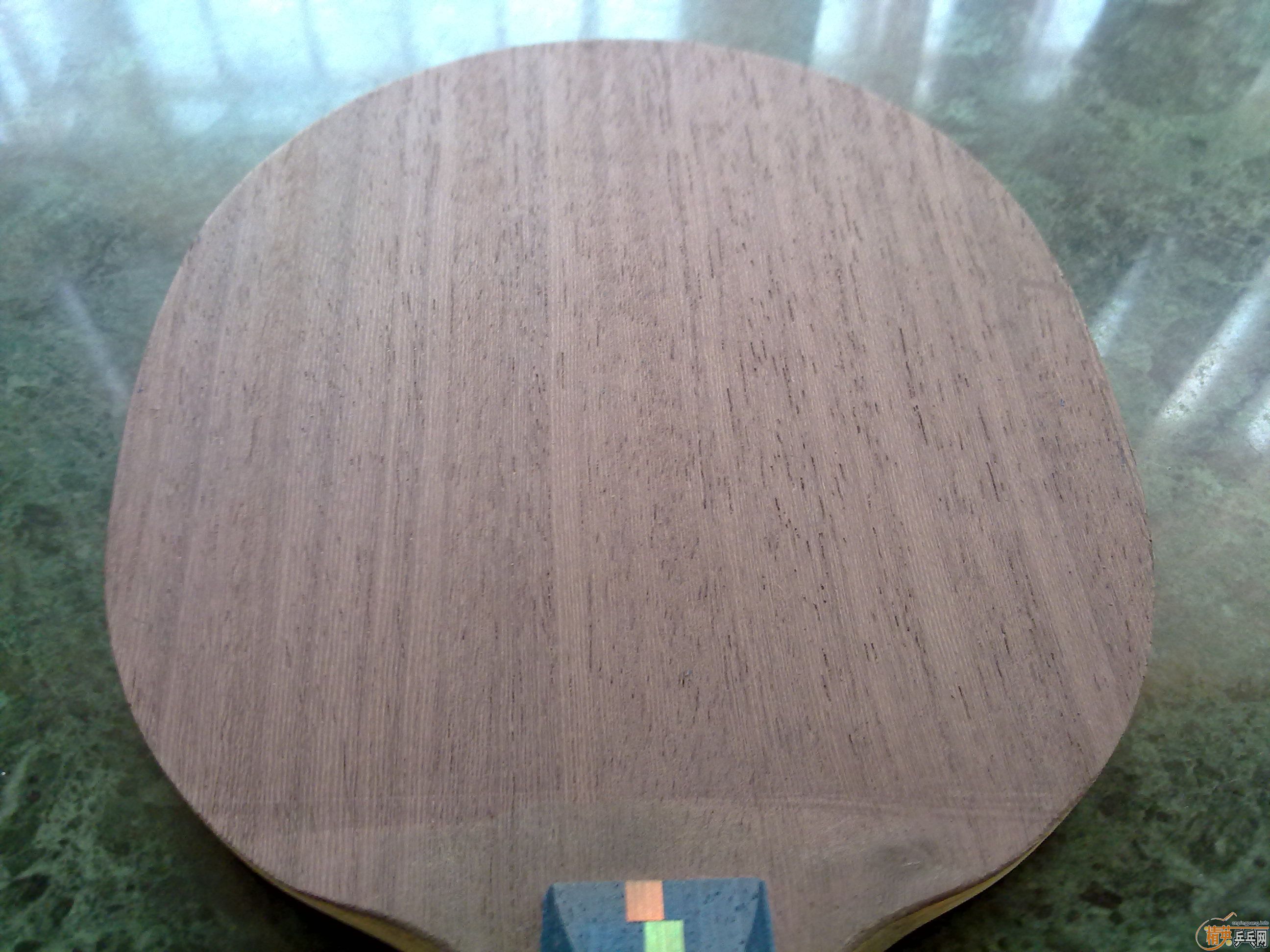 ���������  ֧����  ����