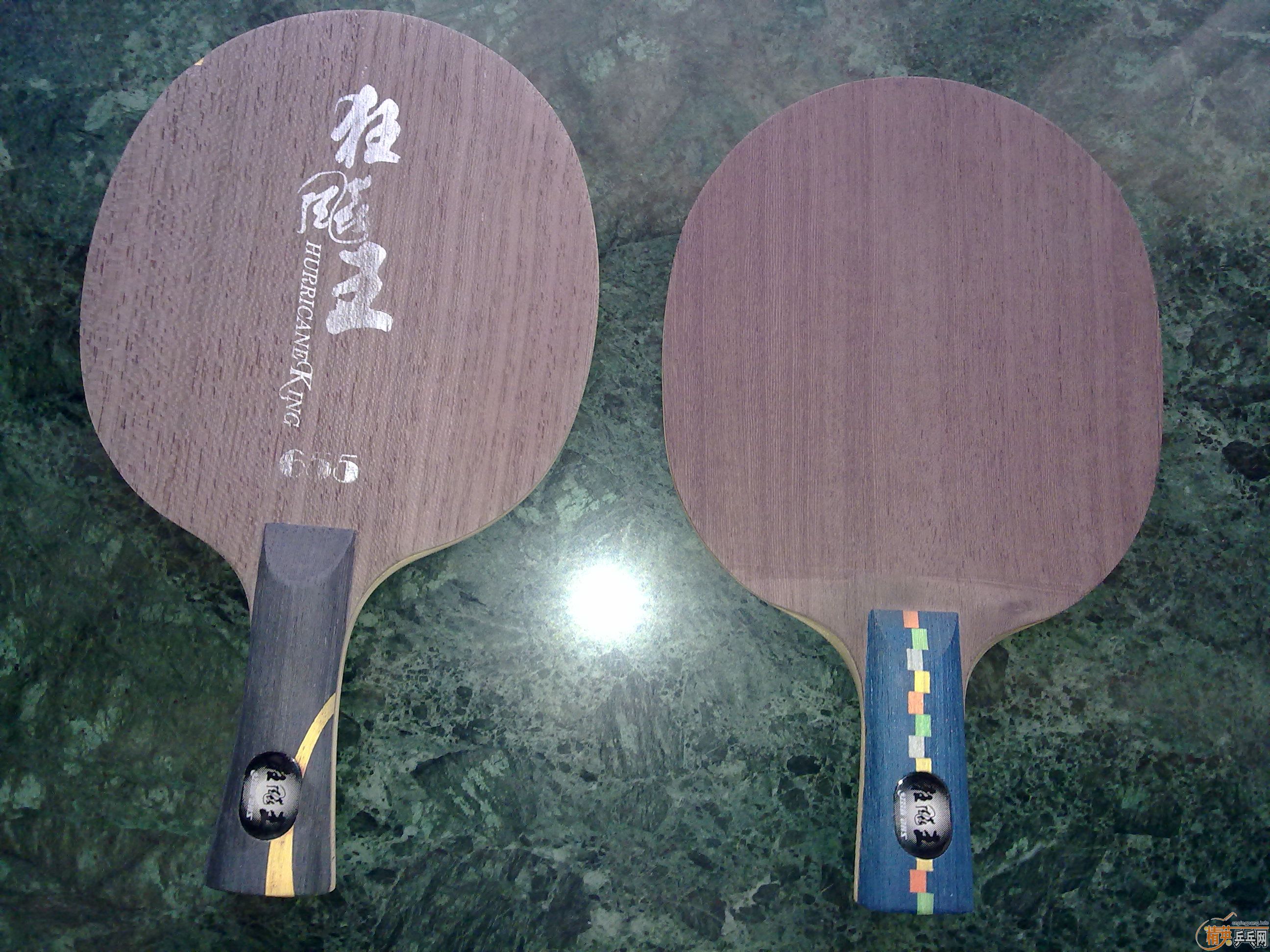 ���������  ֧����  ����