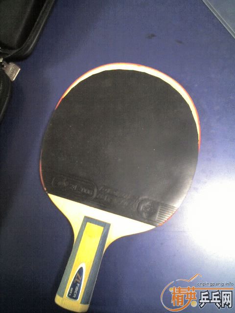 100Ԫ��׼�¶����Baracuda