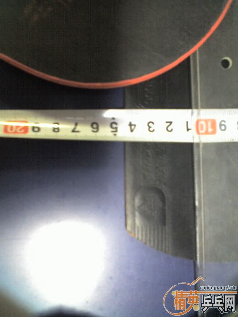 100Ԫ��׼�¶����Baracuda