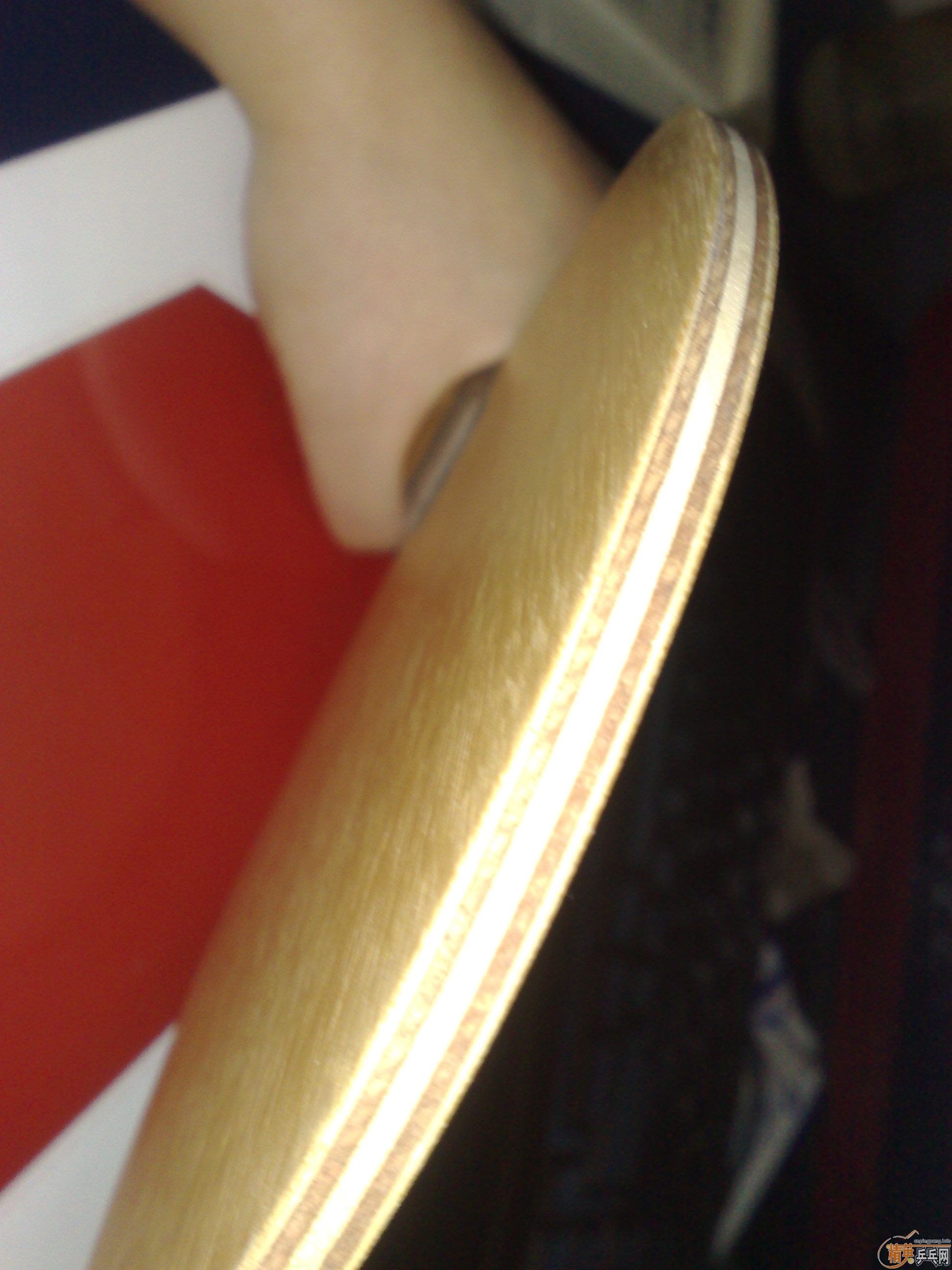 [�Ƽ�]�����ѳ�һֻ ����ȫ������С�� ֱ��