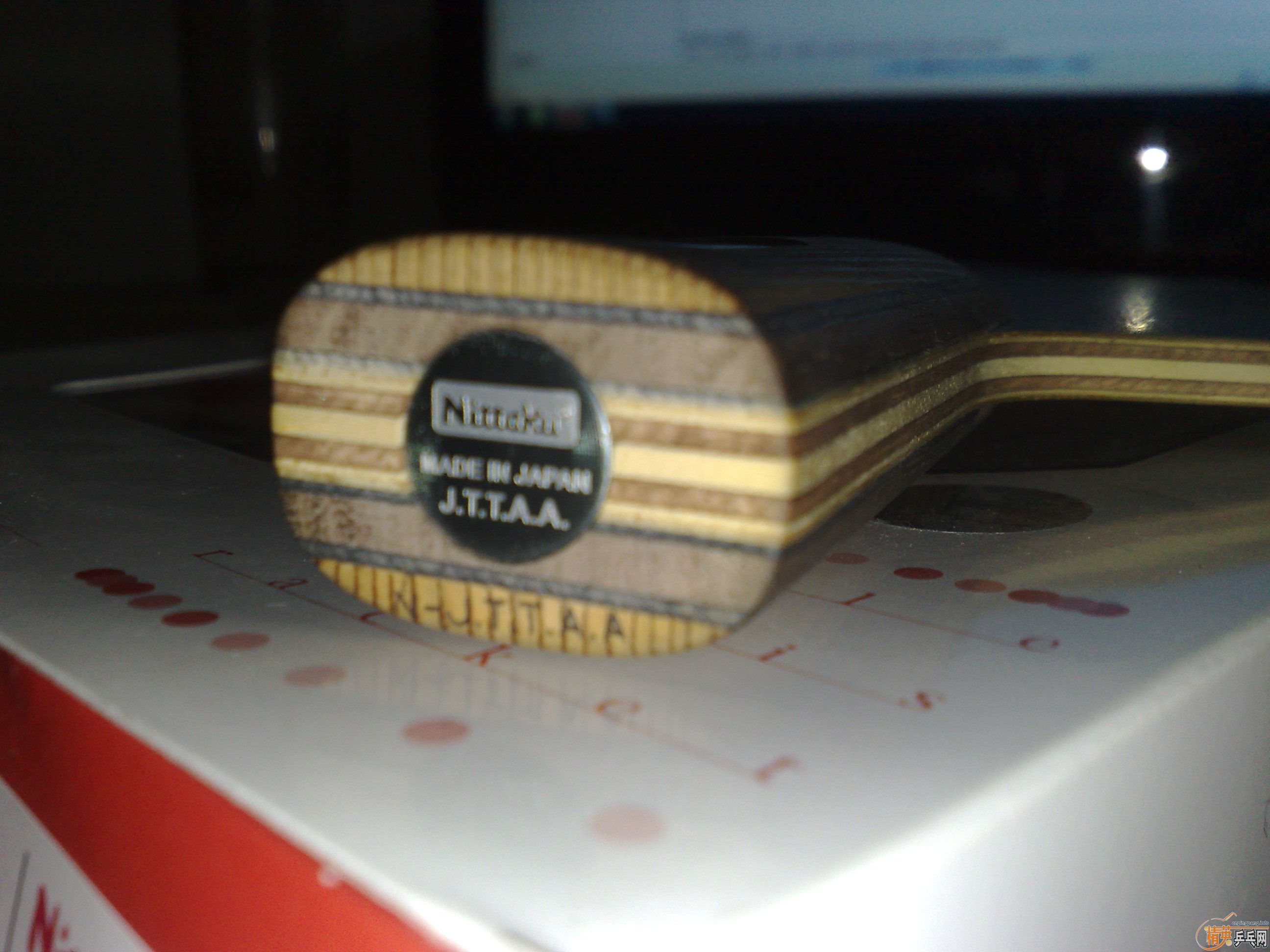 [�Ƽ�]�����ѳ�һֻ ����ȫ������С�� ֱ��